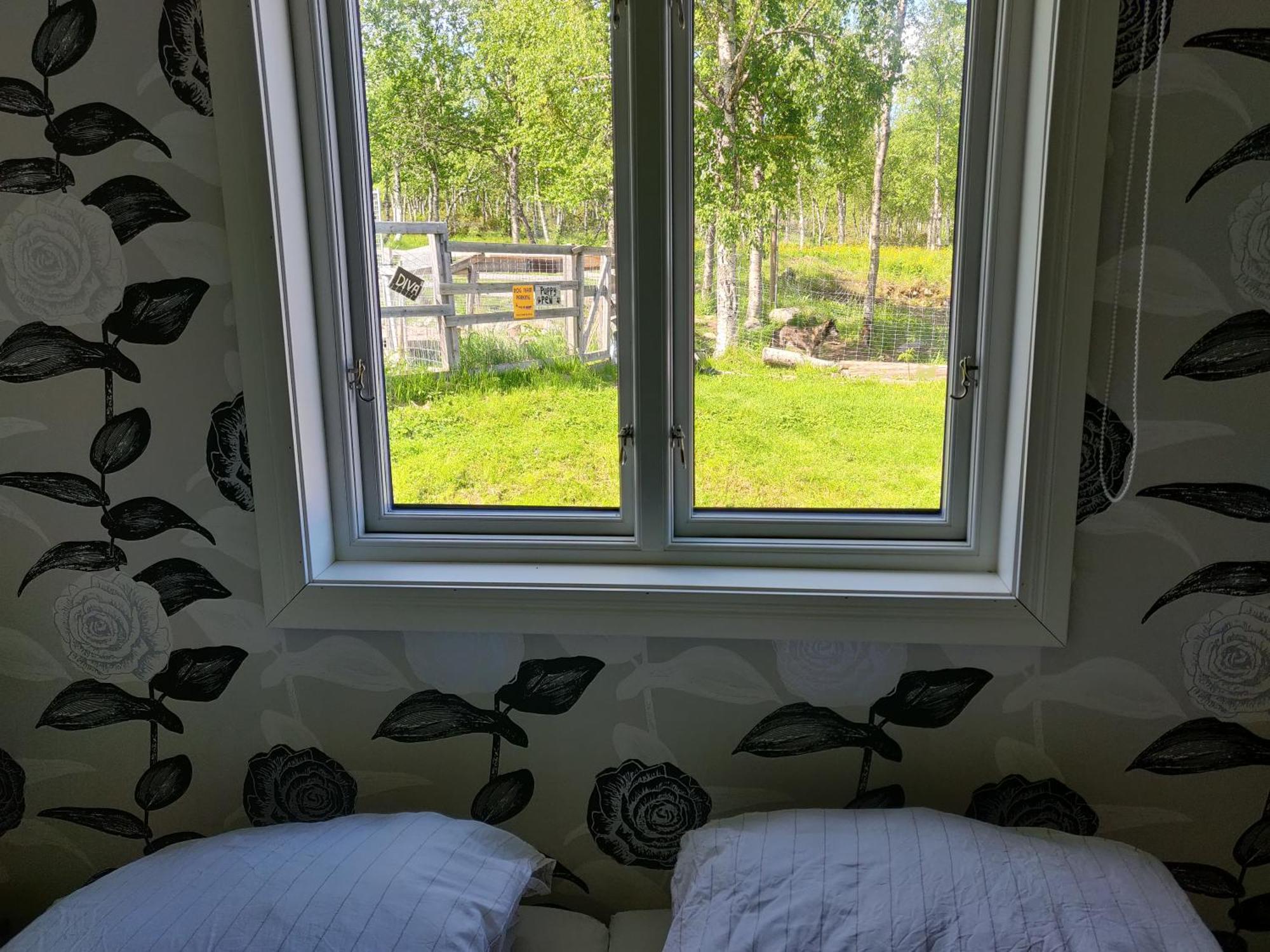 Husky Lodge Hostel Kiruna Room photo